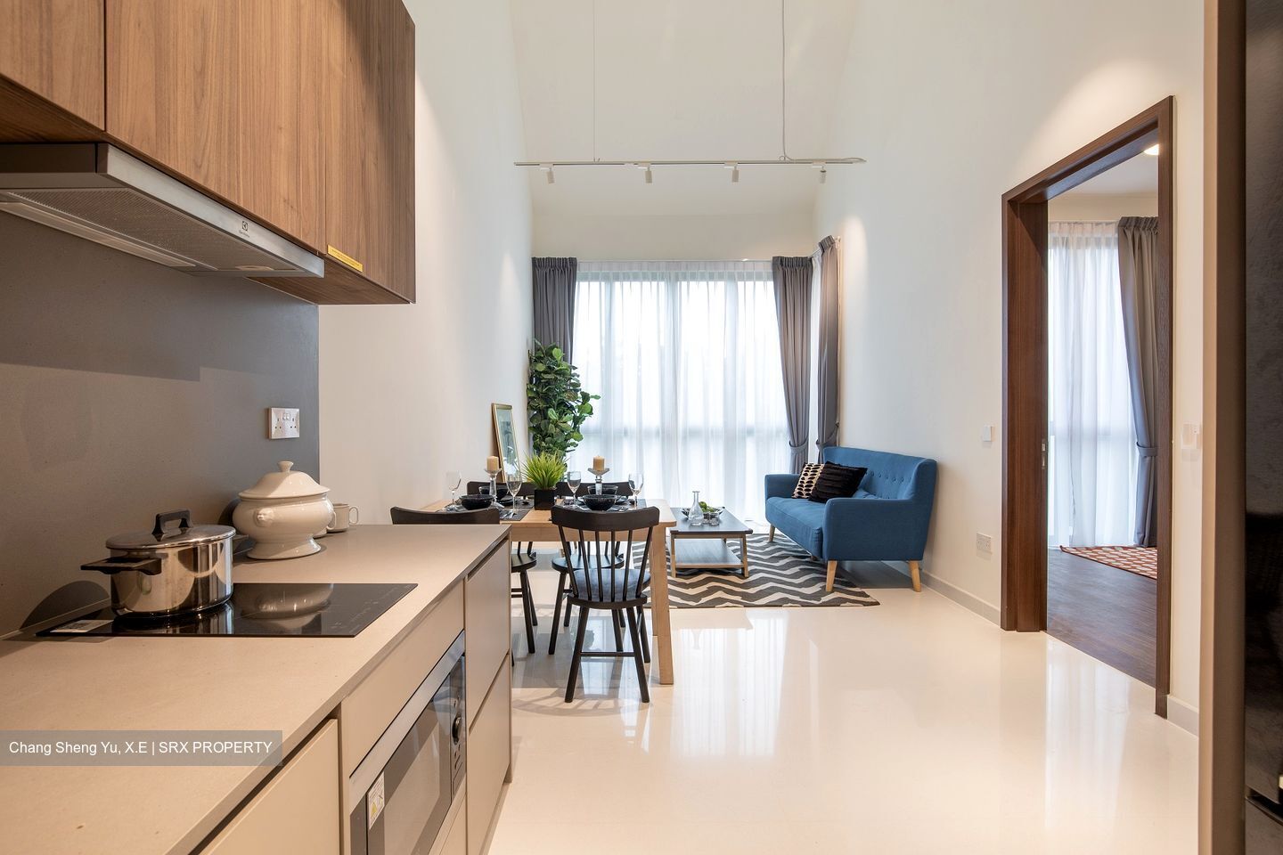 Parksuites (D10), Apartment #429916151